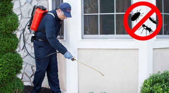 Mansuroğlu Fare İlaçlama böcek ilaçlama ve haşere kontrolü — ilaclama-tr.com